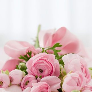 Fleurs coupées