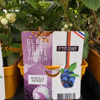 MYRTILLE PATRIOT P14 ( 9516 )