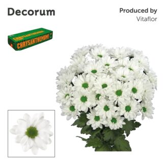Chr T Chic Decorum (20131)