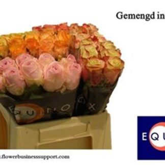 R Gr Mix In Bucket 40cm (20142)