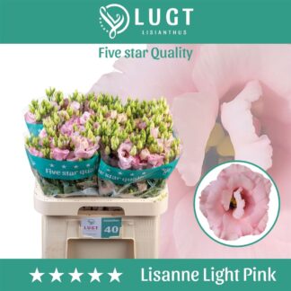 Eus G Lisanne L Pink (328)